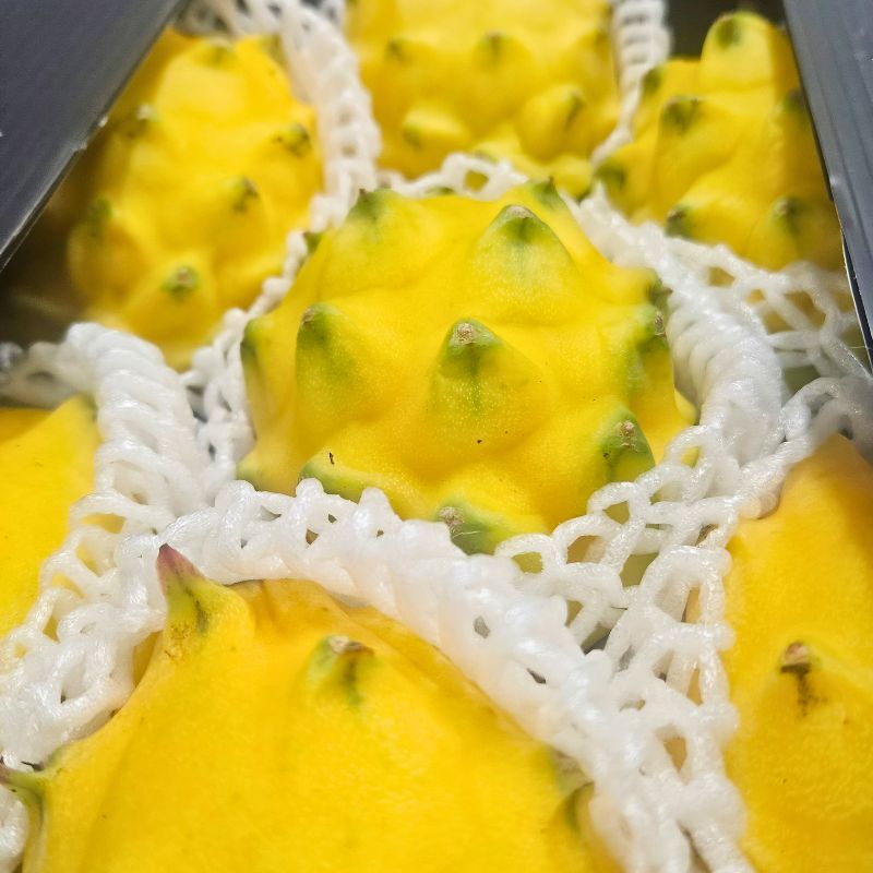 Yellow Dragon Fruit packaging