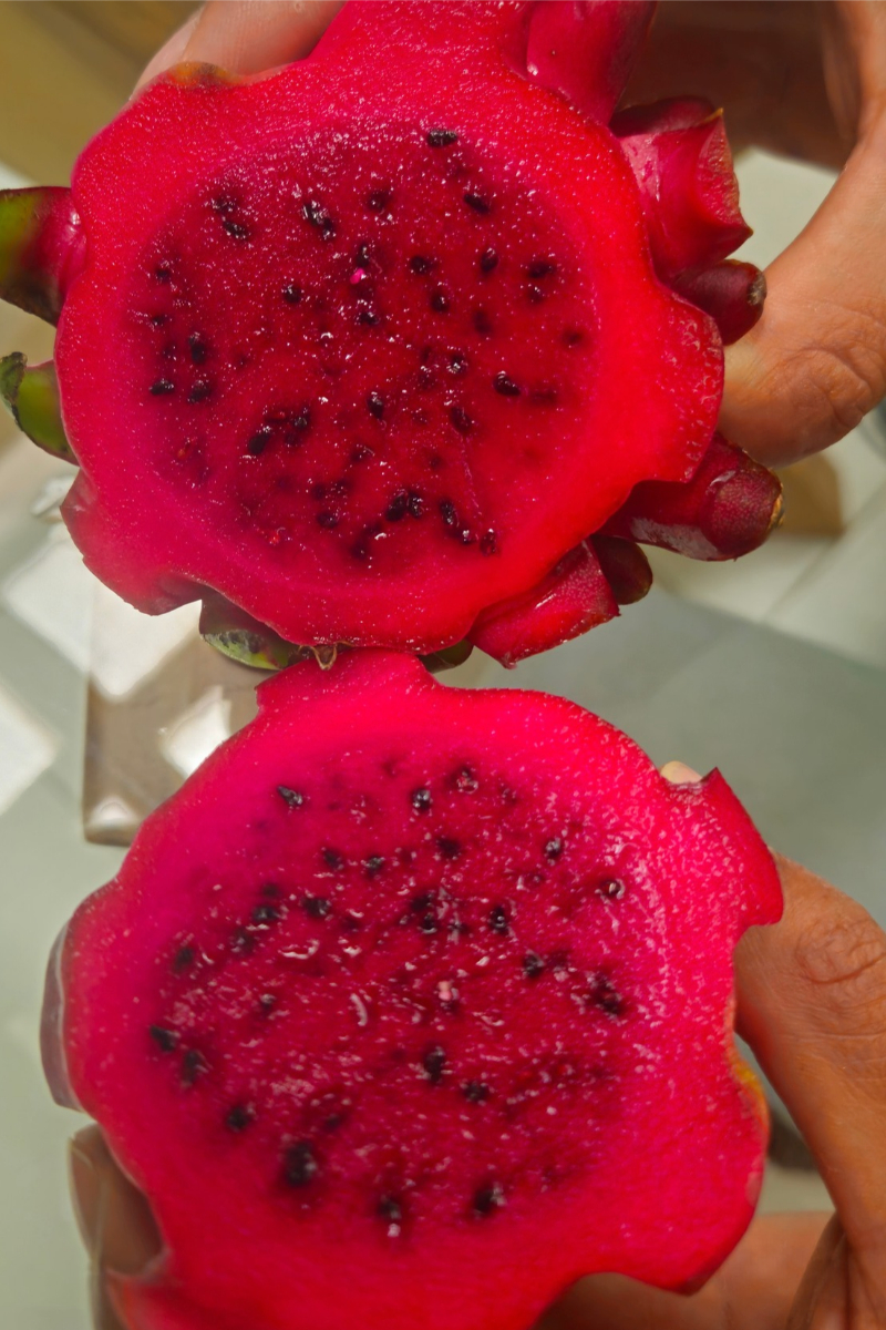 Red Dragon Fruit quality and packaging